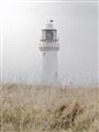 Picture of Lighthouse Dream _GroupedProduct_Rectangle_Portrait_Photography _GroupedProduct_Rectangle_Portrait_Unframed_Print_Only_