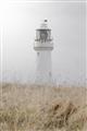 Picture of Lighthouse Dream _GroupedProduct_Rectangle_Portrait_Photography _GroupedProduct_Rectangle_Portrait_Unframed_Print_Only_