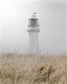 Picture of Lighthouse Dream _GroupedProduct_Rectangle_Portrait_Photography _GroupedProduct_Rectangle_Portrait_Unframed_Print_Only_