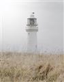 Picture of Lighthouse Dream _GroupedProduct_Rectangle_Portrait_Photography _GroupedProduct_Rectangle_Portrait_Unframed_Print_Only_