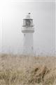 Picture of Lighthouse Dream _GroupedProduct_Rectangle_Portrait_Photography _GroupedProduct_Rectangle_Portrait_Unframed_Print_Only_