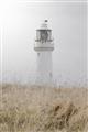 Picture of Lighthouse Dream _GroupedProduct_Rectangle_Portrait_Photography _GroupedProduct_Rectangle_Portrait_Unframed_Print_Only_