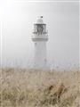 Picture of Lighthouse Dream _GroupedProduct_Rectangle_Portrait_Photography _GroupedProduct_Rectangle_Portrait_Unframed_Print_Only_