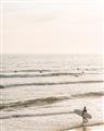 Picture of Surfer on the beach _GroupedProduct_Rectangle_Portrait_Photography _GroupedProduct_Rectangle_Portrait_Unframed_Print_Only_
