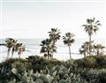Picture of Palms Above the Sea _GroupedProduct_Rectangle_Landscape_Photography _GroupedProduct_Rectangle_Landscape_Unframed_Print_Only_