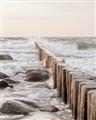 Picture of Rocks wood Sea _GroupedProduct_Rectangle_Portrait_Photography _GroupedProduct_Rectangle_Portrait_Unframed_Print_Only_