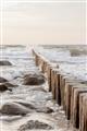 Picture of Rocks wood Sea _GroupedProduct_Rectangle_Portrait_Photography _GroupedProduct_Rectangle_Portrait_Unframed_Print_Only_
