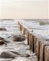 Picture of Rocks wood Sea _GroupedProduct_Rectangle_Portrait_Photography _GroupedProduct_Rectangle_Portrait_Unframed_Print_Only_