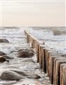 Picture of Rocks wood Sea _GroupedProduct_Rectangle_Portrait_Photography _GroupedProduct_Rectangle_Portrait_Unframed_Print_Only_