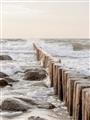 Picture of Rocks wood Sea _GroupedProduct_Rectangle_Portrait_Photography _GroupedProduct_Rectangle_Portrait_Unframed_Print_Only_