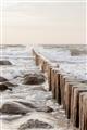 Picture of Rocks wood Sea _GroupedProduct_Rectangle_Portrait_Photography _GroupedProduct_Rectangle_Portrait_Unframed_Print_Only_