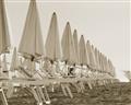 Picture of Seaside Shade _GroupedProduct_Rectangle_Landscape_Photography _GroupedProduct_Rectangle_Landscape_Unframed_Print_Only_