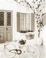 Picture of White Bike  _GroupedProduct_Rectangle_Portrait_Photography _GroupedProduct_Rectangle_Portrait_Unframed_Print_Only_
