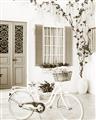 Picture of White Bike  _GroupedProduct_Rectangle_Portrait_Photography _GroupedProduct_Rectangle_Portrait_Unframed_Print_Only_