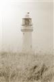 Picture of Lighthouse Dream _GroupedProduct_Rectangle_Portrait_Photography _GroupedProduct_Rectangle_Portrait_Unframed_Print_Only_