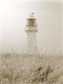 Picture of Lighthouse Dream _GroupedProduct_Rectangle_Portrait_Photography _GroupedProduct_Rectangle_Portrait_Unframed_Print_Only_