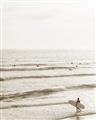 Picture of Surfer on the beach _GroupedProduct_Rectangle_Portrait_Photography _GroupedProduct_Rectangle_Portrait_Unframed_Print_Only_