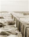 Picture of Rocks wood Sea _GroupedProduct_Rectangle_Portrait_Photography _GroupedProduct_Rectangle_Portrait_Unframed_Print_Only_