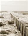 Picture of Rocks wood Sea _GroupedProduct_Rectangle_Portrait_Photography _GroupedProduct_Rectangle_Portrait_Unframed_Print_Only_