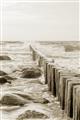 Picture of Rocks wood Sea _GroupedProduct_Rectangle_Portrait_Photography _GroupedProduct_Rectangle_Portrait_Unframed_Print_Only_
