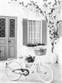 Picture of White Bike  _GroupedProduct_Rectangle_Portrait_Photography _GroupedProduct_Rectangle_Portrait_Unframed_Print_Only_