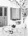 Picture of White Bike  _GroupedProduct_Rectangle_Portrait_Photography _GroupedProduct_Rectangle_Portrait_Unframed_Print_Only_