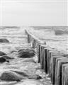 Picture of Rocks wood Sea _GroupedProduct_Rectangle_Portrait_Photography _GroupedProduct_Rectangle_Portrait_Unframed_Print_Only_