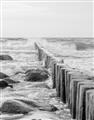 Picture of Rocks wood Sea _GroupedProduct_Rectangle_Portrait_Photography _GroupedProduct_Rectangle_Portrait_Unframed_Print_Only_