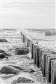 Picture of Rocks wood Sea _GroupedProduct_Rectangle_Portrait_Photography _GroupedProduct_Rectangle_Portrait_Unframed_Print_Only_