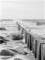 Picture of Rocks wood Sea _GroupedProduct_Rectangle_Portrait_Photography _GroupedProduct_Rectangle_Portrait_Unframed_Print_Only_