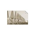 Picture of Seaside Shade _GroupedProduct_Rectangle_Landscape_Photography _GroupedProduct_Rectangle_Landscape_Unframed_Print_Only_