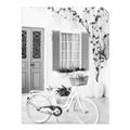 Picture of White Bike  _GroupedProduct_Rectangle_Portrait_Photography _GroupedProduct_Rectangle_Portrait_Unframed_Print_Only_
