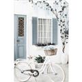 Picture of White Bike  _GroupedProduct_Rectangle_Portrait_Photography _GroupedProduct_Rectangle_Portrait_Unframed_Print_Only_