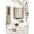 Picture of White Bike  _GroupedProduct_Rectangle_Portrait_Photography _GroupedProduct_Rectangle_Portrait_Unframed_Print_Only_
