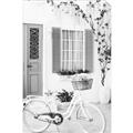 Picture of White Bike  _GroupedProduct_Rectangle_Portrait_Photography _GroupedProduct_Rectangle_Portrait_Unframed_Print_Only_