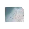 Picture of Seaside Swim _GroupedProduct_Rectangle_Landscape_Photography _GroupedProduct_Rectangle_Landscape_Unframed_Print_Only_