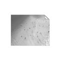Picture of Seaside Swim _GroupedProduct_Rectangle_Landscape_Photography _GroupedProduct_Rectangle_Landscape_Unframed_Print_Only_