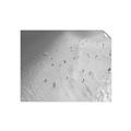 Picture of Seaside Swim _GroupedProduct_Rectangle_Landscape_Photography _GroupedProduct_Rectangle_Landscape_Unframed_Print_Only_