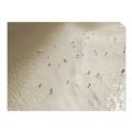 Picture of Seaside Swim _GroupedProduct_Rectangle_Landscape_Photography _GroupedProduct_Rectangle_Landscape_Unframed_Print_Only_