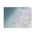 Picture of Seaside Swim _GroupedProduct_Rectangle_Landscape_Photography _GroupedProduct_Rectangle_Landscape_Unframed_Print_Only_