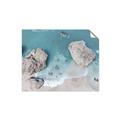 Picture of Rocky shore _GroupedProduct_Rectangle_Landscape_Photography _GroupedProduct_Rectangle_Landscape_Unframed_Print_Only_