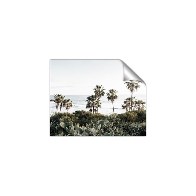 Picture of Palms Above the Sea _GroupedProduct_Rectangle_Landscape_Photography _GroupedProduct_Rectangle_Landscape_Unframed_Print_Only_