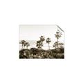Picture of Palms Above the Sea _GroupedProduct_Rectangle_Landscape_Photography _GroupedProduct_Rectangle_Landscape_Unframed_Print_Only_