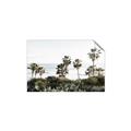 Picture of Palms Above the Sea _GroupedProduct_Rectangle_Landscape_Photography _GroupedProduct_Rectangle_Landscape_Unframed_Print_Only_