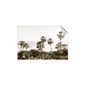 Picture of Palms Above the Sea _GroupedProduct_Rectangle_Landscape_Photography _GroupedProduct_Rectangle_Landscape_Unframed_Print_Only_