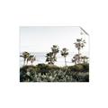 Picture of Palms Above the Sea _GroupedProduct_Rectangle_Landscape_Photography _GroupedProduct_Rectangle_Landscape_Unframed_Print_Only_