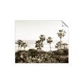 Picture of Palms Above the Sea _GroupedProduct_Rectangle_Landscape_Photography _GroupedProduct_Rectangle_Landscape_Unframed_Print_Only_