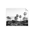 Picture of Palms Above the Sea _GroupedProduct_Rectangle_Landscape_Photography _GroupedProduct_Rectangle_Landscape_Unframed_Print_Only_