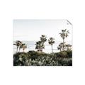 Picture of Palms Above the Sea _GroupedProduct_Rectangle_Landscape_Photography _GroupedProduct_Rectangle_Landscape_Unframed_Print_Only_