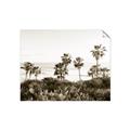 Picture of Palms Above the Sea _GroupedProduct_Rectangle_Landscape_Photography _GroupedProduct_Rectangle_Landscape_Unframed_Print_Only_